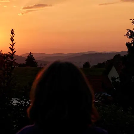 N16 - Gemutliches Nurdachhaus Mit Schonem Garten Und Seeblick Сasa de vacaciones *